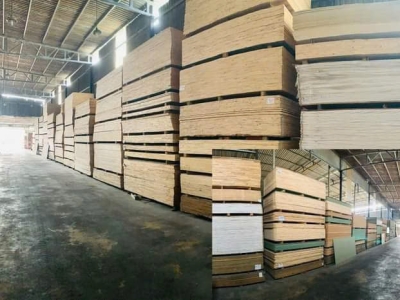 THỊ TRƯỜNG NGÀNH GỖ - NHIỀU TÍN HIỆU TÍCH CỰC